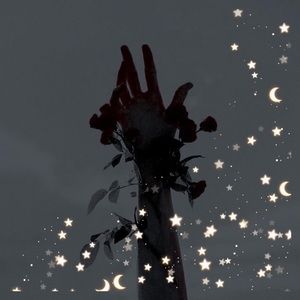 Meet your Posher, Elisabeth